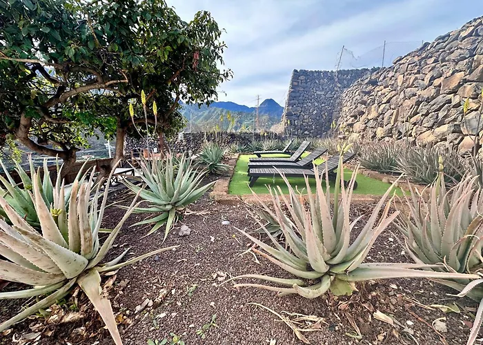Aloe Βίλα