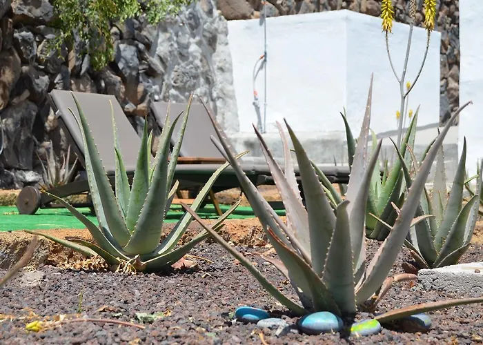 Aloe