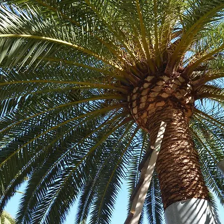 Aloe Villa Hermigua