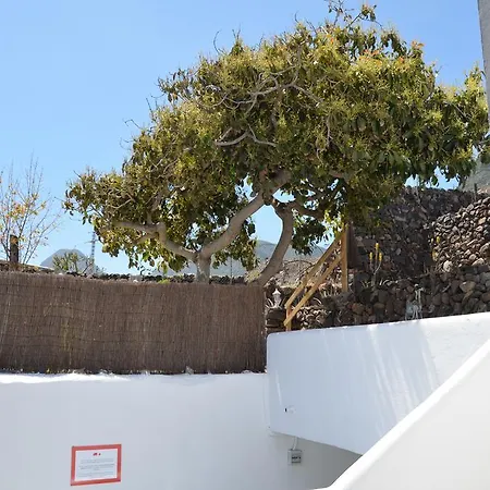 Aloe * エルミグア